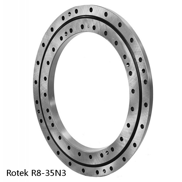 R8-35N3 Rotek Slewing Ring Bearings