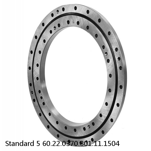 60.22.0370.301.11.1504 Standard 5 Slewing Ring Bearings