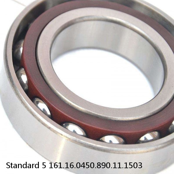 161.16.0450.890.11.1503 Standard 5 Slewing Ring Bearings