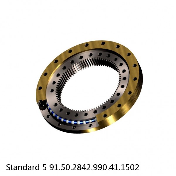 91.50.2842.990.41.1502 Standard 5 Slewing Ring Bearings