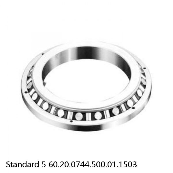60.20.0744.500.01.1503 Standard 5 Slewing Ring Bearings #1 small image