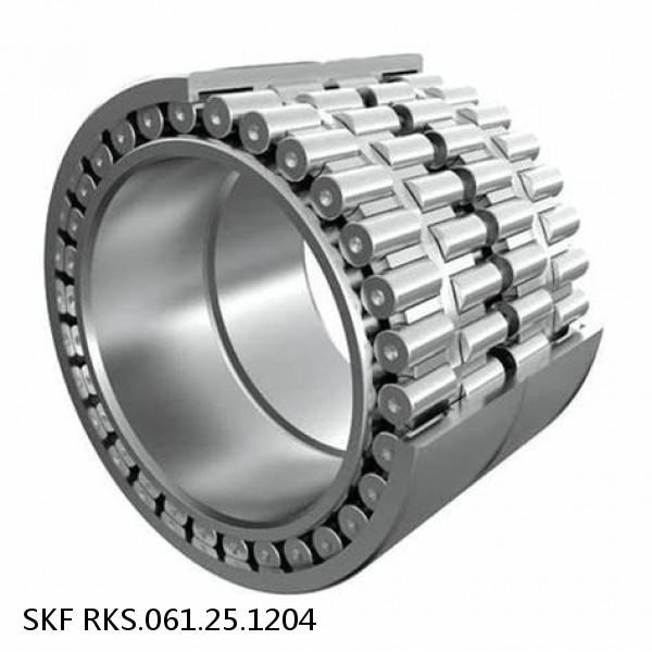 RKS.061.25.1204 SKF Slewing Ring Bearings