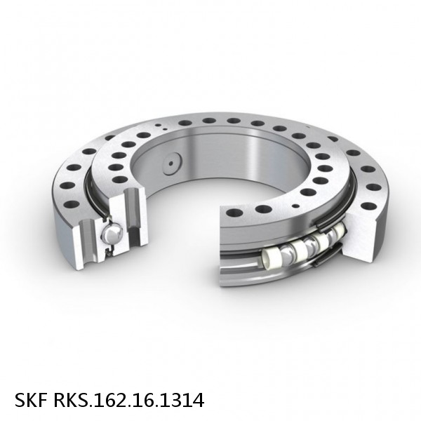 RKS.162.16.1314 SKF Slewing Ring Bearings