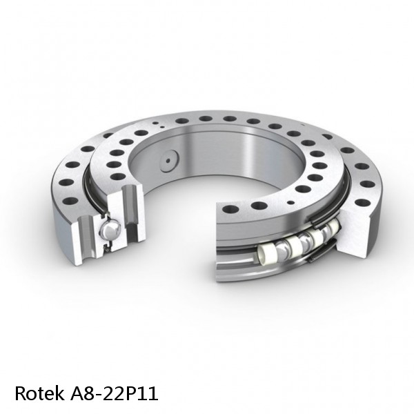 A8-22P11 Rotek Slewing Ring Bearings #1 small image