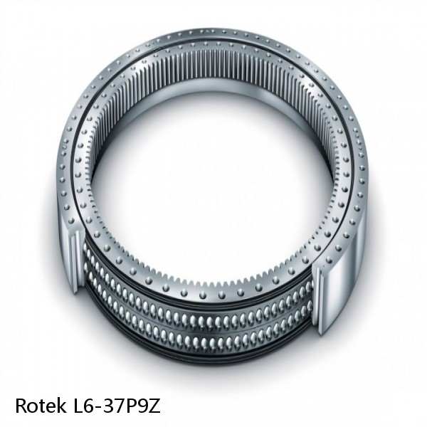 L6-37P9Z Rotek Slewing Ring Bearings