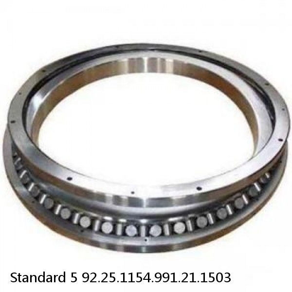 92.25.1154.991.21.1503 Standard 5 Slewing Ring Bearings #1 small image