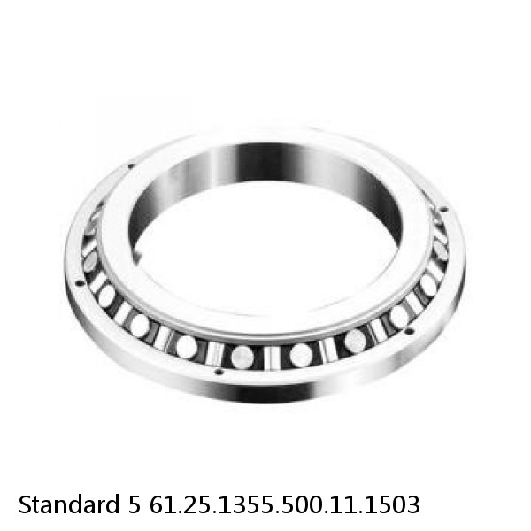 61.25.1355.500.11.1503 Standard 5 Slewing Ring Bearings #1 small image
