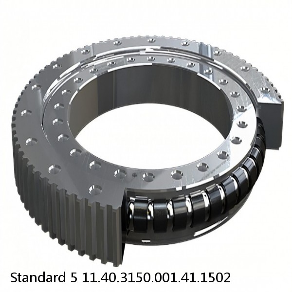 11.40.3150.001.41.1502 Standard 5 Slewing Ring Bearings #1 small image