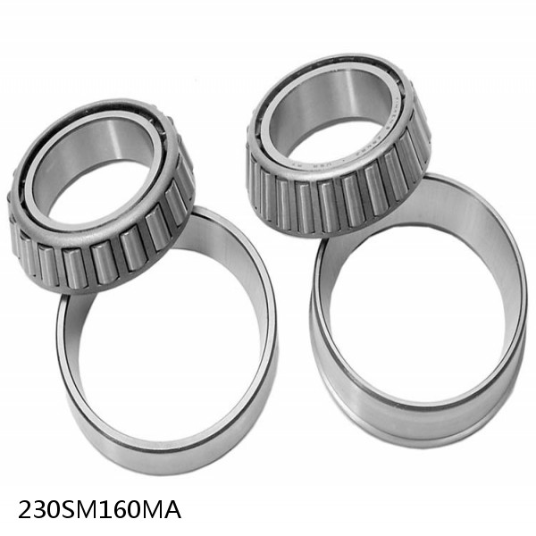 230SM160MA Needle Non Thrust Roller Bearings #1 small image