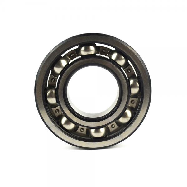 FAG NU318-E-M1  Cylindrical Roller Bearings #1 image