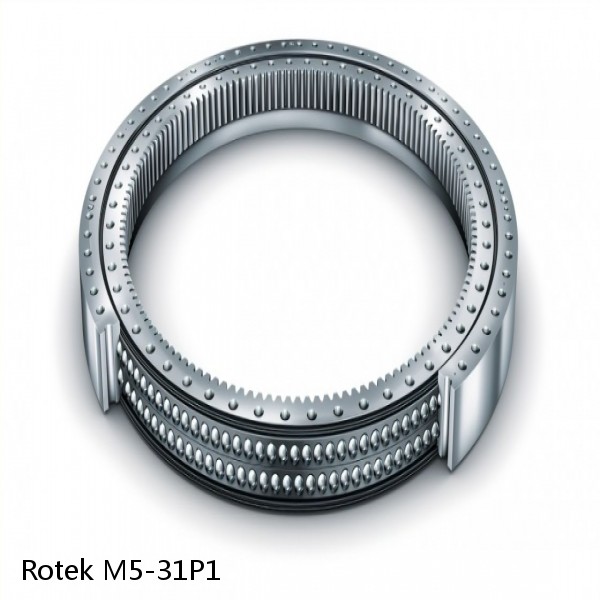 M5-31P1 Rotek Slewing Ring Bearings #1 image