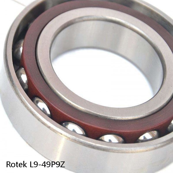 L9-49P9Z Rotek Slewing Ring Bearings #1 image