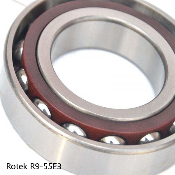 R9-55E3 Rotek Slewing Ring Bearings #1 image