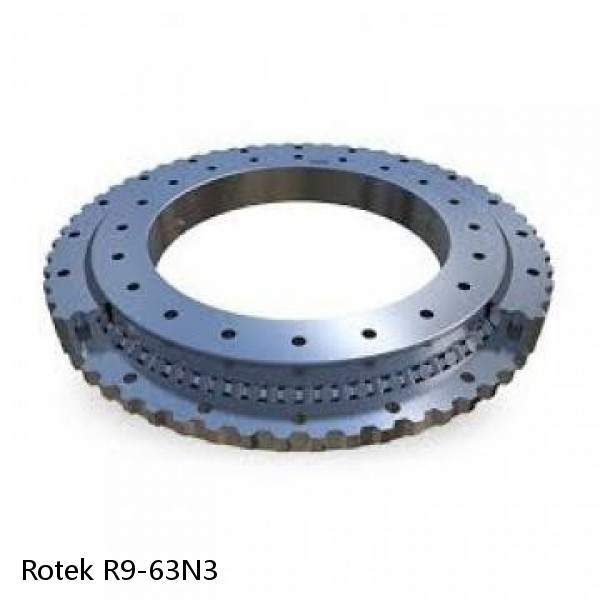 R9-63N3 Rotek Slewing Ring Bearings #1 image
