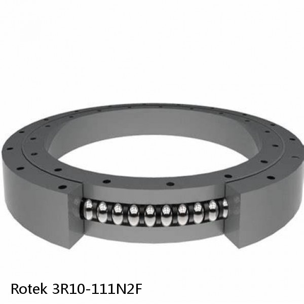 3R10-111N2F Rotek Slewing Ring Bearings #1 image