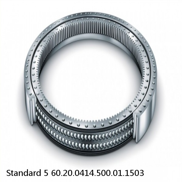60.20.0414.500.01.1503 Standard 5 Slewing Ring Bearings #1 image