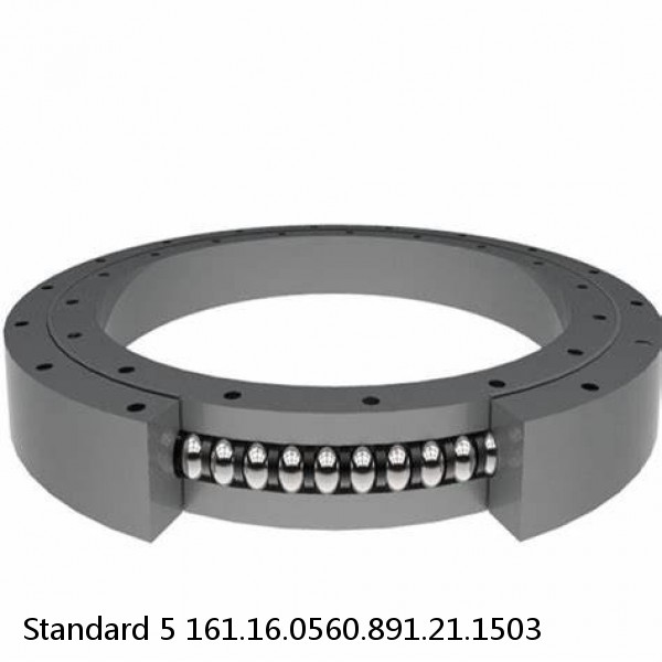 161.16.0560.891.21.1503 Standard 5 Slewing Ring Bearings #1 image