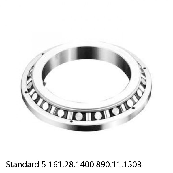 161.28.1400.890.11.1503 Standard 5 Slewing Ring Bearings #1 image
