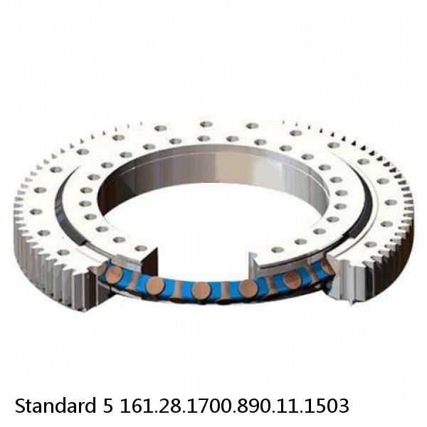 161.28.1700.890.11.1503 Standard 5 Slewing Ring Bearings #1 image