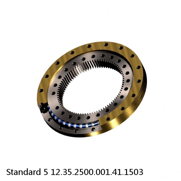 12.35.2500.001.41.1503 Standard 5 Slewing Ring Bearings #1 image