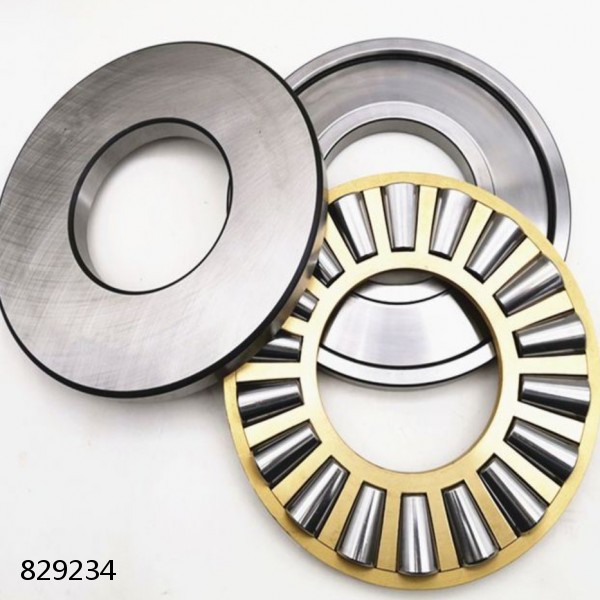 829234 DOUBLE ROW TAPERED THRUST ROLLER BEARINGS #1 image